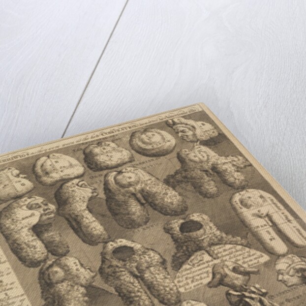 The Five Orders of Periwigs, 1761 by William Hogarth