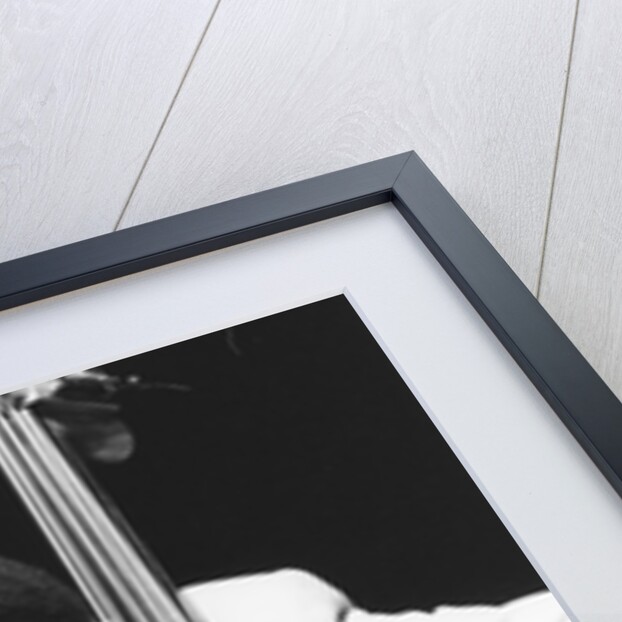 Stafford James by Brian Foskett