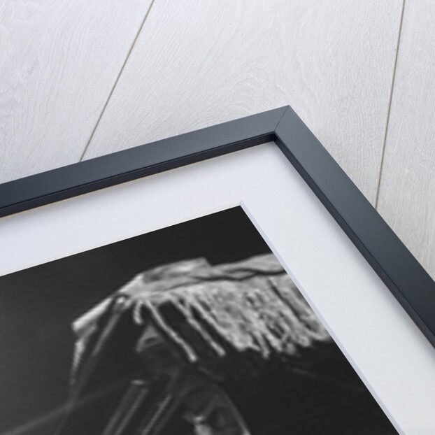 Dr John by Brian Foskett