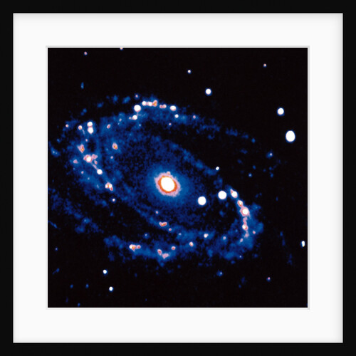 Spiral Galaxy M81 in constallation of Ursa Minor by Unknown