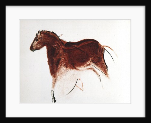 Horse and Hind, Palaeolithic cave painting from Altamira, southern Spain, c16,000-c9000 BC by Unknown