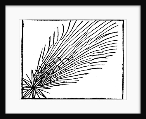 Comet of 684 (Halley), 1493 by Unknown