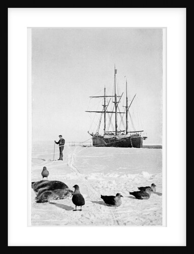 The Fram in the Bay of Whales, Antarctica, 1911-1912 by Unknown