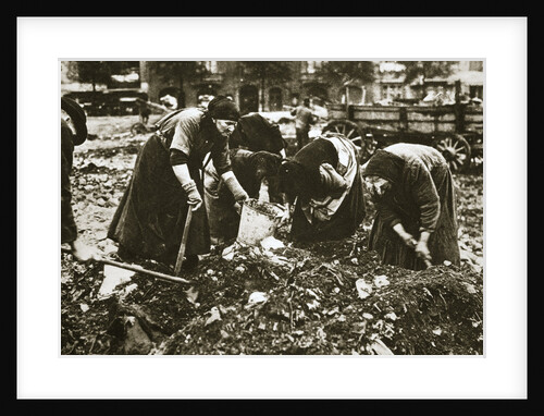 The poor of Berlin rummaging in refuse heaps, Germany, c1914-c1918 by Unknown
