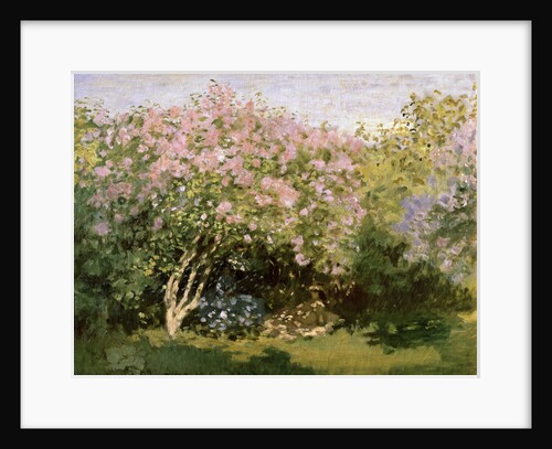 Lilac in the Sun, 1872-1873. by Claude Monet