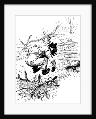 Illustration from the book The Complete Tales of Uncle Remus, by Joel Chandler Harris, 1895. by AB Frost