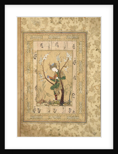 Youth Seated in the Fork of a Blossoming Tree, 1560s by Unknown