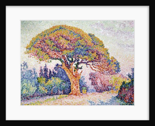 Le Pin de Bertaud at Saint-Tropez, 1909. by Paul Signac