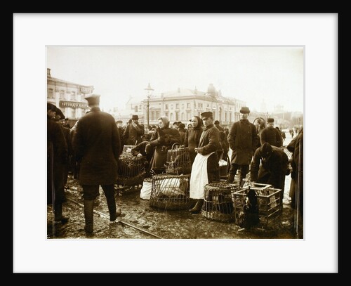 Bird market, Trubnaya Square, Moscow, Russia, 1908 by Unknown