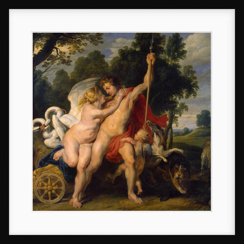 Venus and Adonis, c1614 by Peter Paul Rubens