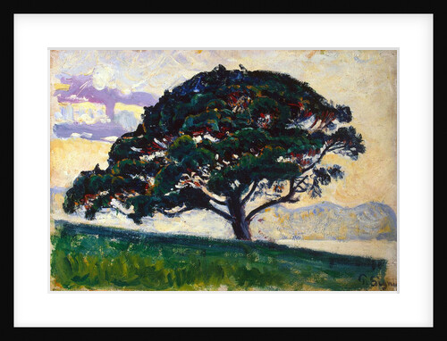Large Pine, Saint-Tropez, 1892-1893. by Paul Signac