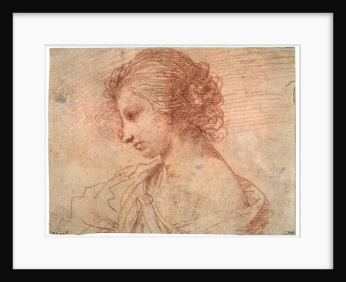 Breast portrait of a young female, 17th century by Guercino