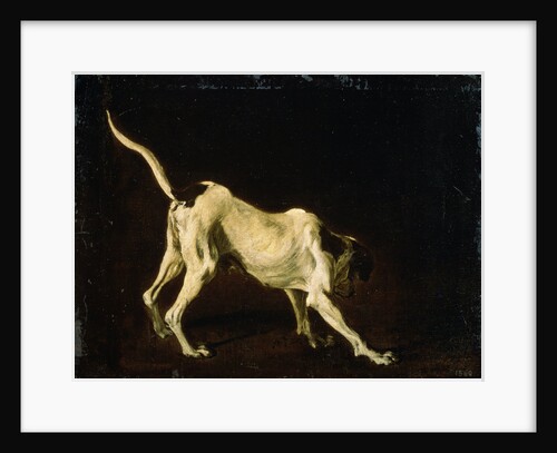 A Dog, 17th century by Frans Snyders