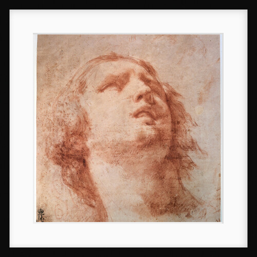 Head study of a woman looking up, 17th century by Pietro da Cortona
