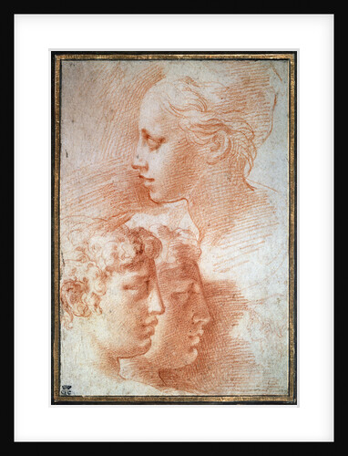Study of the heads, c1527 by Parmigianino