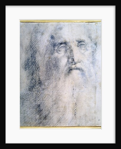 Study of an old Mans head with a beard, c1535 by Domenico Beccafumi
