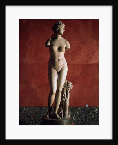 The Venus Tauride or Venus of Tauris, 2nd century AD by Unknown