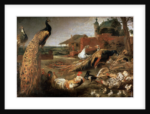 Crow in Peacocks Fathers, c1615-1690 by Pauwel de Vos
