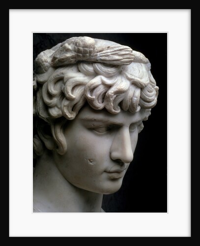 Bust of Antinous, mid 2nd century AD by Unknown
