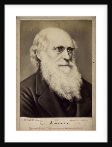 Charles Darwin, British naturalist, c1860s-c1870s by Ernst Hader