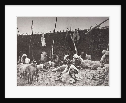 Sheep shearing, Russia, c1875-c1877 by Ivan Boldyrev