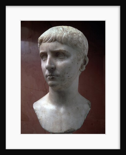 Marble portrait bust of Gaius Julius Caesar, 1st half of 1st century by Unknown