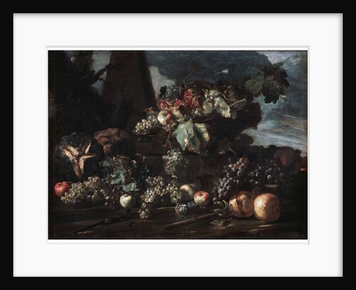 Still Life with Grapes, 17th century. by Michelangelo Pace del Campidoglio