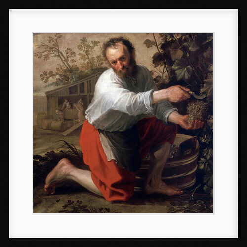 Winegrower, 1628 by Jacob Gerritsz Cuyp