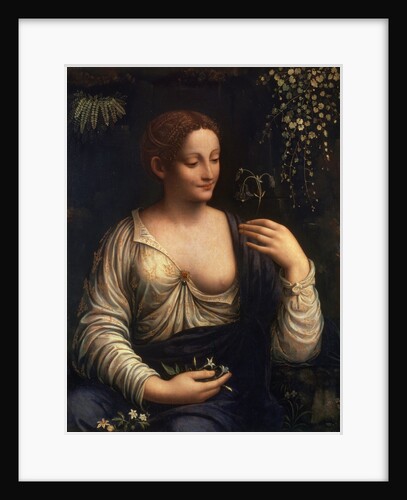 Flora, c1510-c1515 by Francesco Melzi