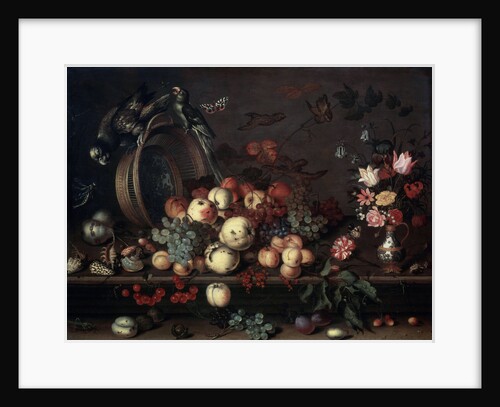Still Life with Fruits, Flowers and Parrots, 1620s by Balthasar van der Ast