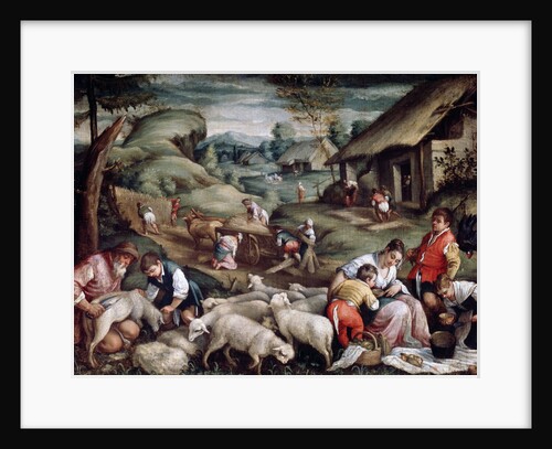 Summer. Sheep Shearing, c1570-c1580 by Francesco Bassano II