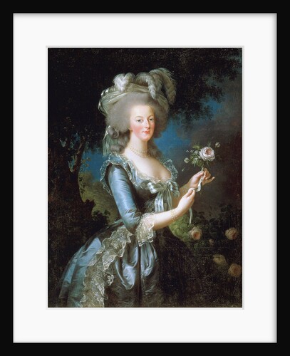 Marie Antoinette Ã  la Rose by Marie Louise Elisabeth VigÃ©e-Lebrun