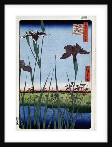 Irises at Horikiri by Anonymous