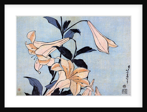 Lilies, c1830 by Anonymous