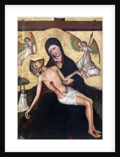 Pieta from Tubadzin, c1450 by Anonymous
