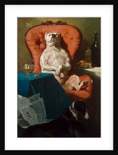 Pug Dog in an Armchair, 1857 by Anonymous