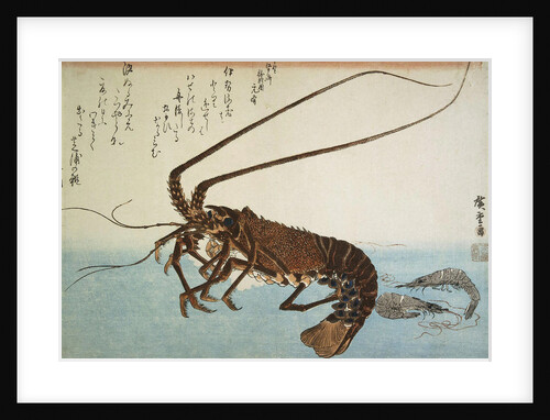 Lobster and Shrimps, 1832-1834 by Anonymous