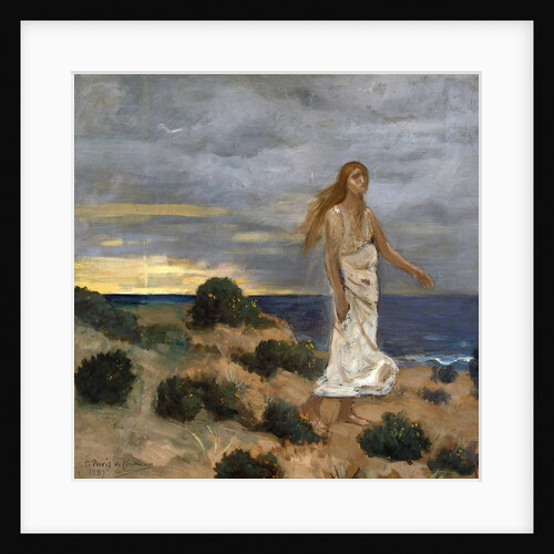 Woman on the Beach, 1887 by Anonymous