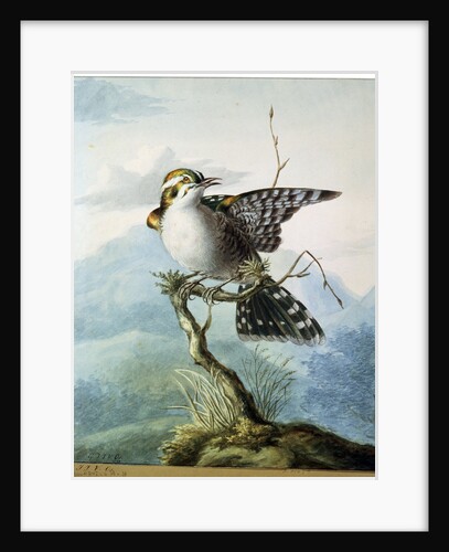 A Little Bird, 1798 by Georgius Jacobus Johannes van Os