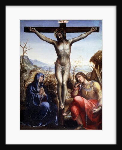 The Crucifixion with the Virgin and John the Baptist, c1540. by Sodoma