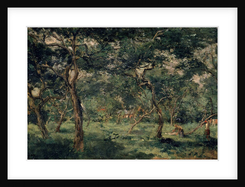 Olive Orchard, early 1870s by Charles François Daubigny