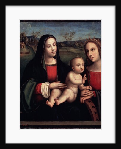 Virgin and Child, 15th or early 16th century by Francesco Francia
