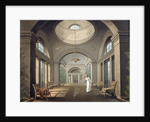 Interior of the Aviary in the Pavlovsk Palace, mid 19th century by Anonymous