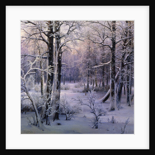 Hoarfrost, 1906. by Ivan Velz