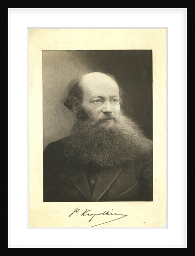 Portrait of Count Peter (Pyotr) Alexeyevich Kropotkin by Anonymous