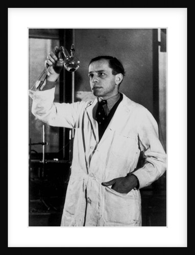 Rudolph Schoenheimer, 1930s by Anonymous