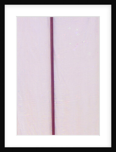 Tsar Mikhail Feodorovichs staff. In the vestry of the Ipatiev Monastery, Kostroma, 1911 by Anonymous