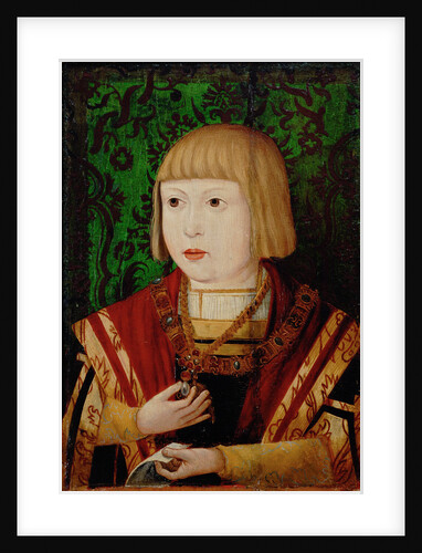 Emperor Ferdinand I at the age of ten or twelve years, c. 1520 by Anonymous