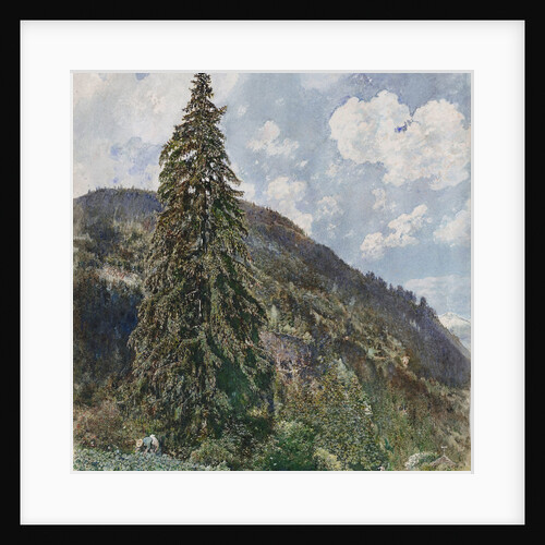 The old Spruce in Bad Gastein, 1899 by Rudolf von Alt