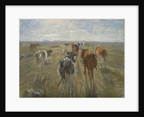 Long Shadows. Cattle on the Island of Saltholm, c. 1890 by Theodor Philipsen